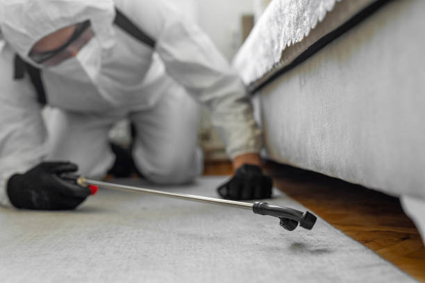 Professional Bed Bug Control technician working in Radford, VA