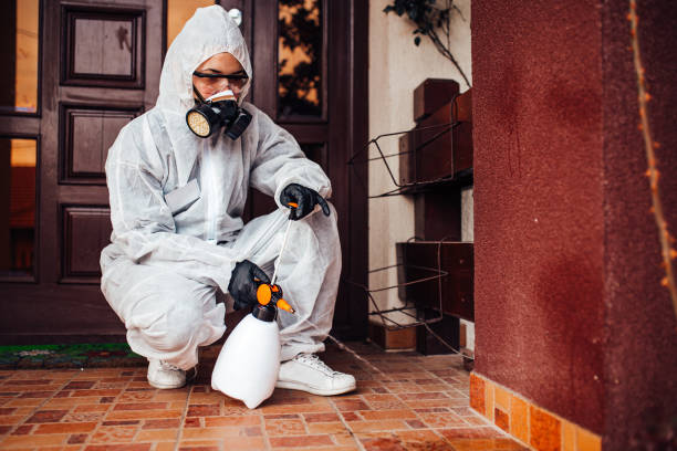 Reliable Bed Bug Control contractor in Radford, VA by Nex Pest Control
