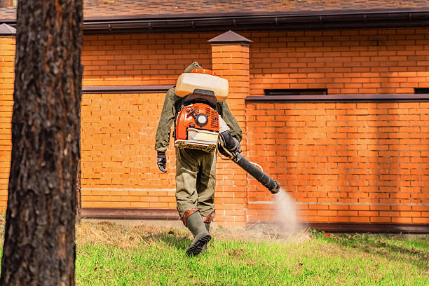Trusted Emergency Pest Control service in Radford, VA - Nex Pest Control